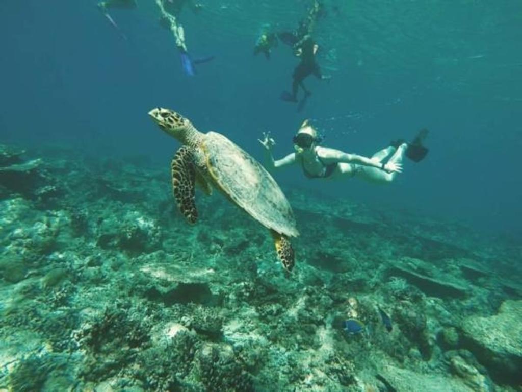 Gurus Maldives At Gulhi Island Hotell Eksteriør bilde